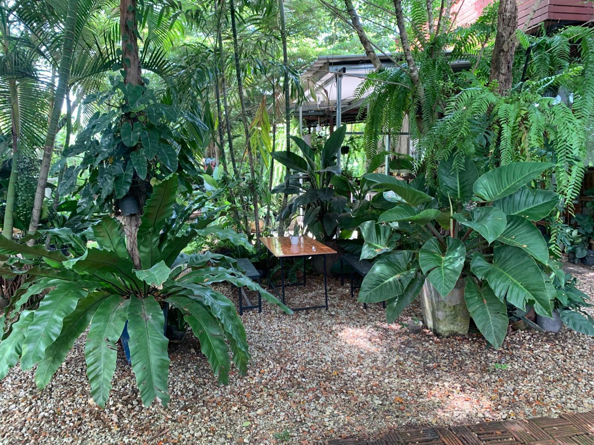 Baan Suan Duang Porn Resort Ban Phae  Exterior photo