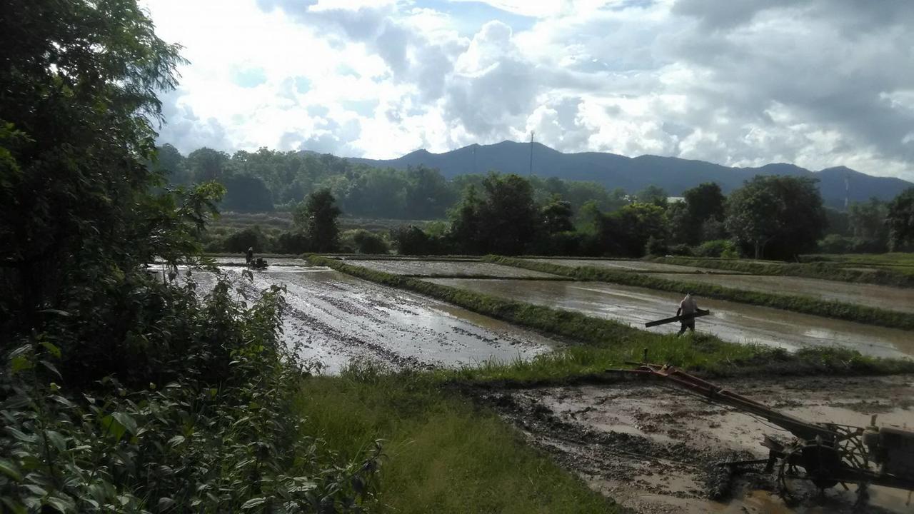 Baan Suan Duang Porn Resort Ban Phae  Exterior photo
